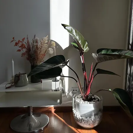 Cozy Place Picasso Apartment Barcelona